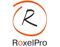 Логотип RoxelPro